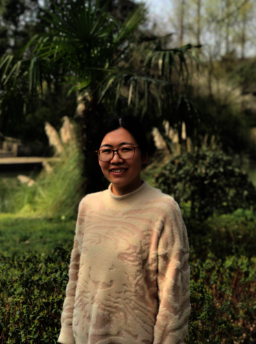 Dr.DING Dandan