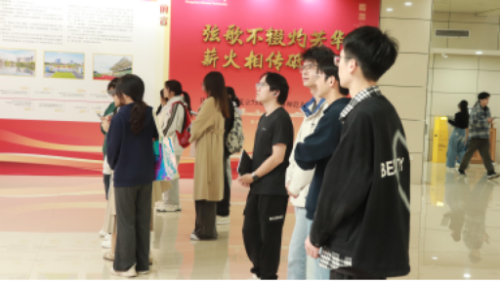 图片3